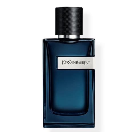 ysl y edp fragrantica|ysl y edp intense 2023.